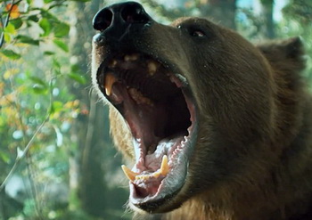 Медведь в рекламе